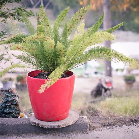 Villa Chetrus Casa En Plena Naturaleza ルビー エクステリア 写真