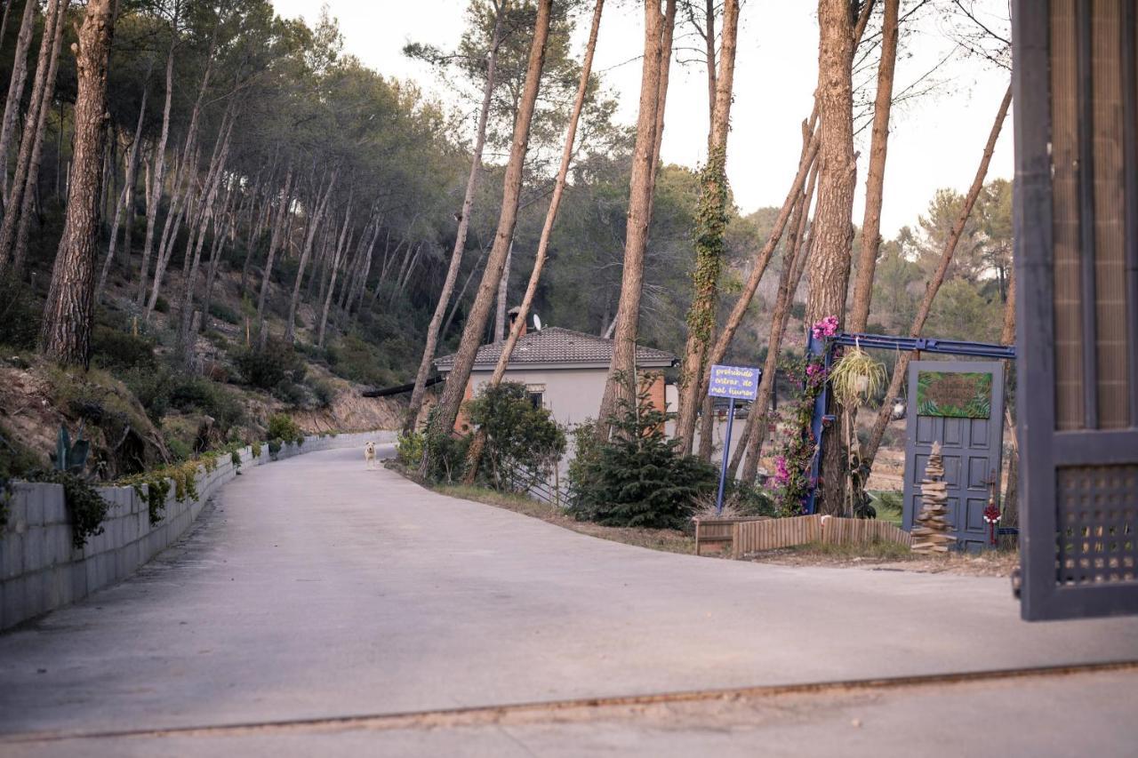 Villa Chetrus Casa En Plena Naturaleza ルビー エクステリア 写真
